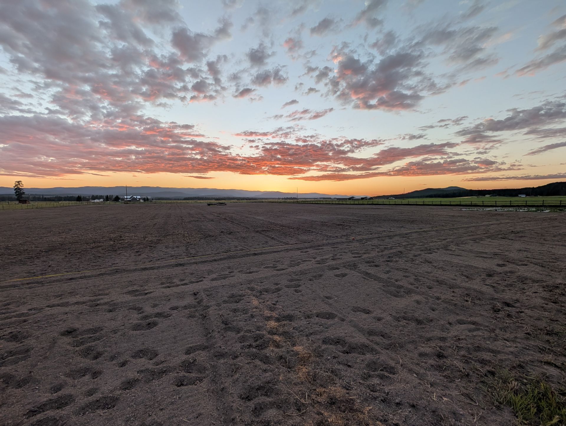 Lavender Field Preparation