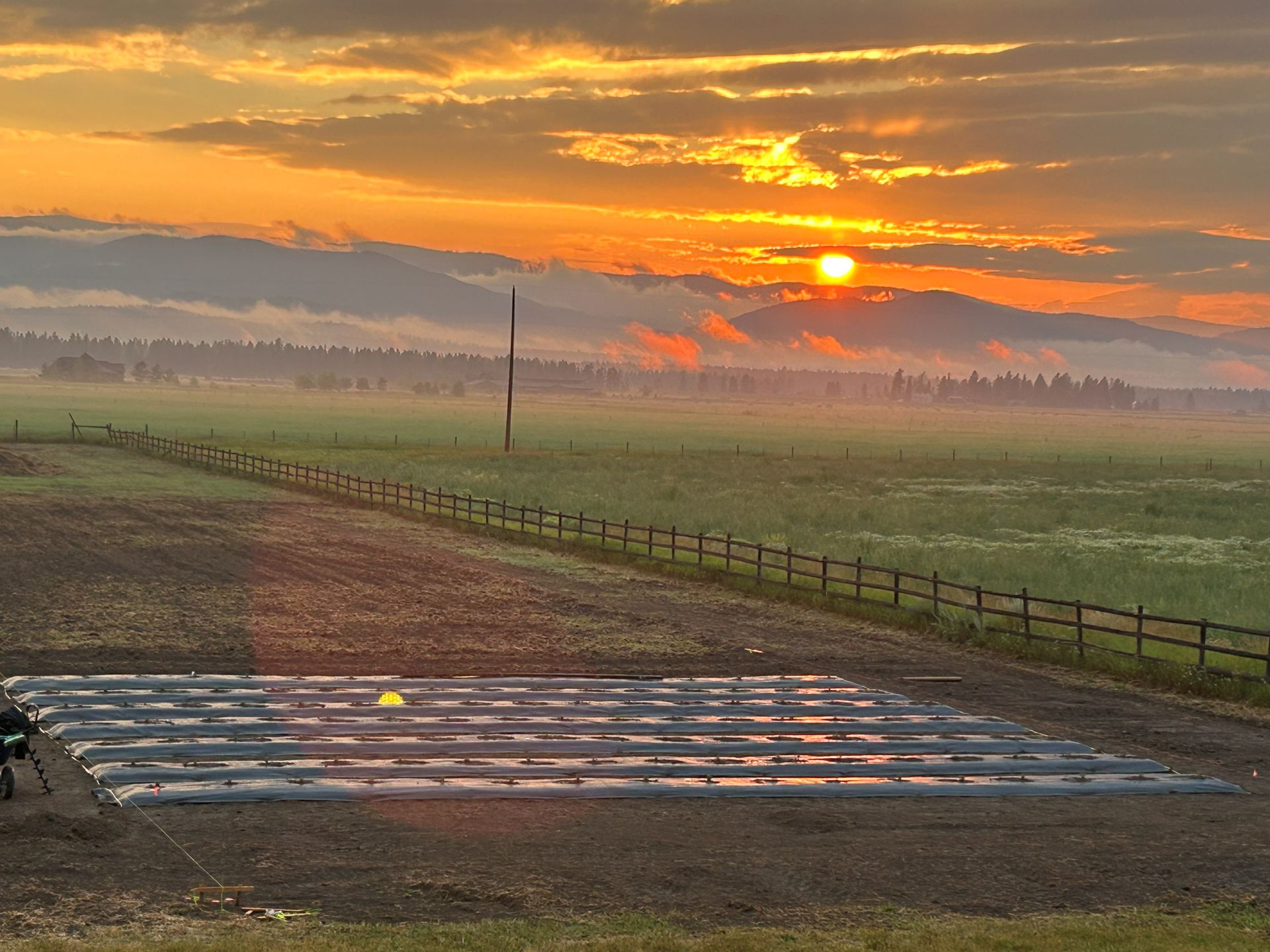 Lavender Field Sunset